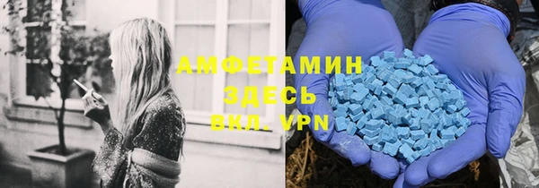 шишки Арсеньев