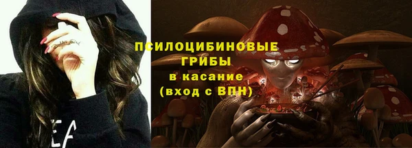 шишки Арсеньев