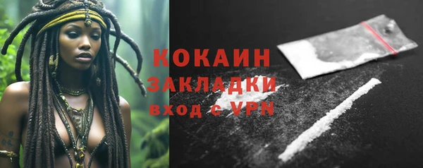 шишки Арсеньев
