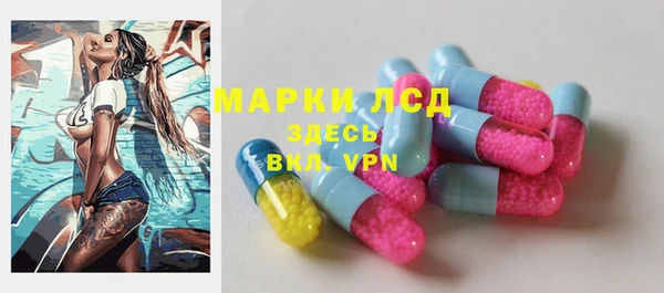 шишки Арсеньев