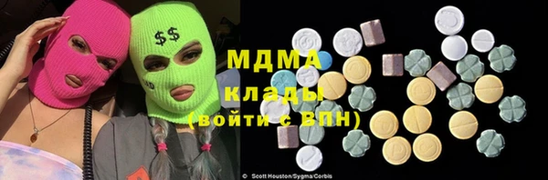 шишки Арсеньев