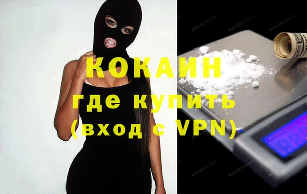 шишки Арсеньев