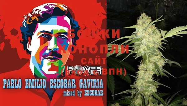 шишки Арсеньев