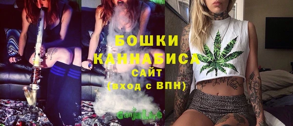шишки Арсеньев