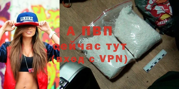 шишки Арсеньев