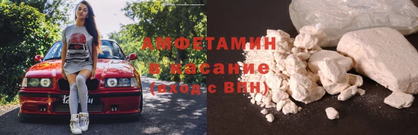 шишки Арсеньев