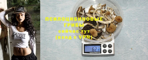 дурь Аркадак
